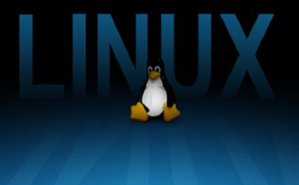 初學者學習linux技術(shù)常見的疑難解答